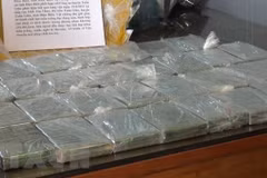 Drug trafficker caught in Dien Bien