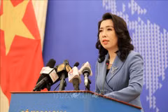 Foreign Ministry spokesperson highlights Vietnam’s stance on int’l issues