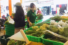 HCM City’s annual price stabilisation programme begins