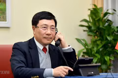 Deputy PM, FM Pham Binh Minh holds phone talks with US State Secretary Antony Blinken