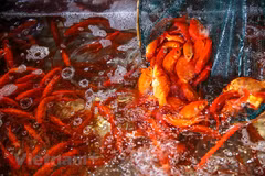 Kitchen Gods ceremony a tradition of Tet