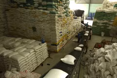 Rice exports enjoy opportunities for breakthrough in 2021