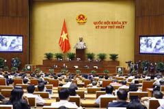 15th NA’s first plenary session to close on July 28 after deciding important issues