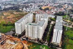 Vietnam develops comprehensive policy framework in land management: WB official 