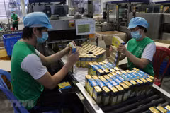 Programme launched to aid export via e-commerce