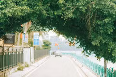 Quang An listed among the coolest streets in the world