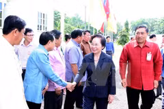 Vietnamese Vice President visits Laos’s Vientiane province