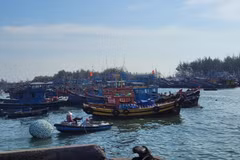Ba Ria – Vung Tau tightens management over unregistered fishing vessels. (Photo: VNA)