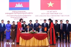 At the signing ceremony. (Photo: VNA)