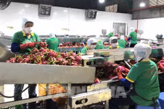 Dong Nai has 120 planting areas granted code for export 