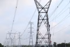 Dong Nai: 99.49 pct of households access national power grid