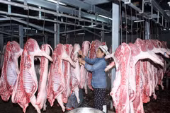 European meat exports to Vietnam increase