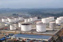 Vietnam might delay purchase of reserve oil 