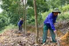 Seminar seeks to support Vietnamese businesses in Cambodia	