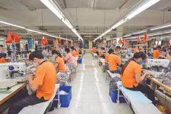 Vietnam’s import and export turnover is expected to hit a record of 800 billion USD in 2024. - Illustrative image (Photo: VNA)