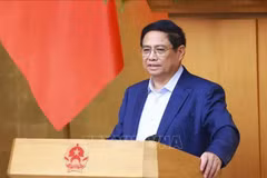 Prime Minister Pham Minh Chinh (Photo: VNA)
