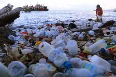 A boy collects plastic waste scattered on a beach in Ternate, North Maluku province of Indonesia. (Photo: Antara)