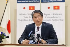 Japanese Ambassador to Vietnam Ito Naoki (Photo: VNA)