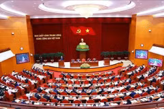 The 13th-tenure Party Central Committee convenes a meeting in Hanoi on November 25. (Photo: VNA)