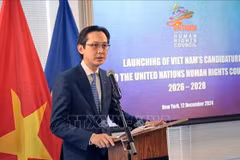 Deputy Minister of Foreign Affairs Do Hung Viet addresses the ceremony (Photo: VNA)