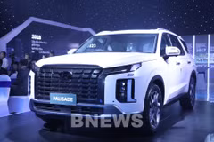 Hyundai Palisade (Photo: VNA)