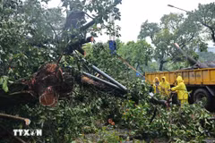 Authorities clear up Dinh Tien Hoang street, Hoan Kiem district, in the heart of Hanoi. (Photo: VNA)
