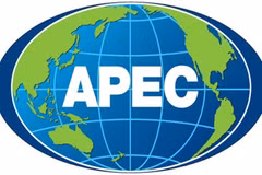 Vietnam actively contributes to APEC
