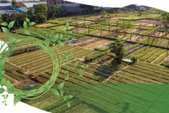 Tra Que vegetable village in Hoi An named among best tourism villages 2024