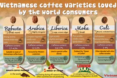 Vietnamese coffee varieties loved by the world consumers