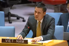 Ambassador Dang Hoang Giang, Permanent Representative of Vietnam to the United Nations (UN) speaks at the open debate on August 21. (Photo: VNA)