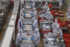 Nearly 90% of Vietnamese businesses are interested in venturing overseas (Photo: VietnamPlus)