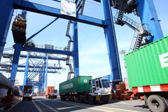 New growth drivers under consideration amid global economic fluctuations