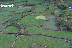 Millennium-old well network bears unique culture of Cham group
