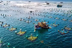 Vietnam’s aquaculture top position on world map