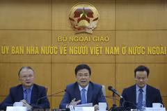 Resources of Vietnamese at home and abroad propel nation forward