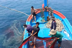 Deputy PM orders greater efforts in IUU fishing fight
