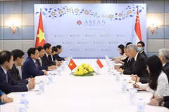 Vietnam - Singapore ties contribute to cohesion in ASEAN: expert