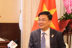 Vietnam - Japan ties live up to extensive strategic partnership: ambassador
