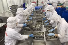 Government support helps aquaculture industry weather difficulties