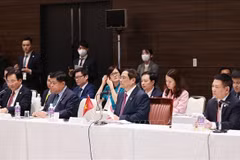 PM thanks Japanese enterprises for accompanying Vietnam