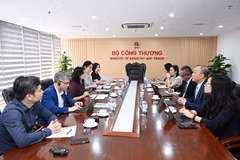Vietnam hopes for stronger cooperation with WB in sustainable clean energy