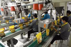 Vietnam aims to promote agricultural exports to Africa