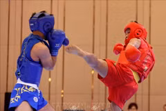 Vietnam wushu team claim three more gold medals