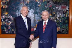 Vietnam, Singapore combine forces to fight transnational crime