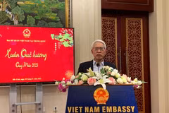 Vietnamese people in China, Cambodia mark Lunar New Year