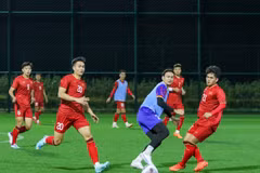 Vietnam ready for friendly match against China: Head coach