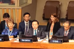 Vietnam commits to cross-border water development goals: Deputy PM