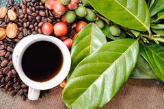 Buon Ma Thuot Coffee Festival 2023 to take place in March