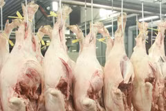 Laos suspends pork imports from Vietnam