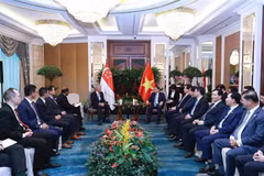 PM receives Singaporean Senior Minister